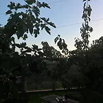 La Quercia Borgo Partenope