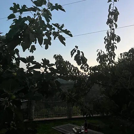 La Quercia Borgo Partenope